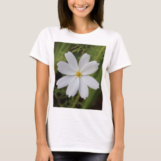 Plain White Beauty T-Shirt