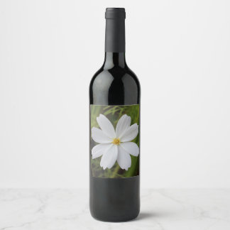 Plain White Beauty Wine Label