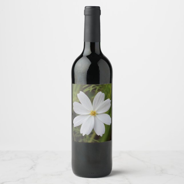 Plain White Beauty Wine Label (Front)