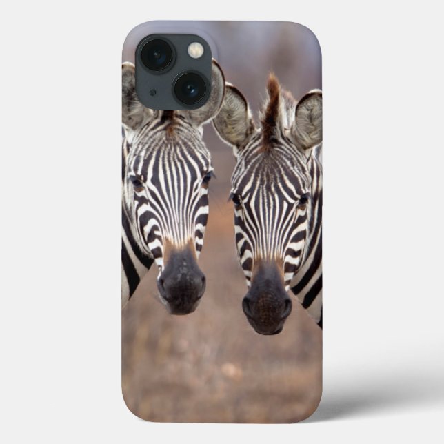 Plain Zebras, Kruger National Park Case-Mate iPhone Case (Back)