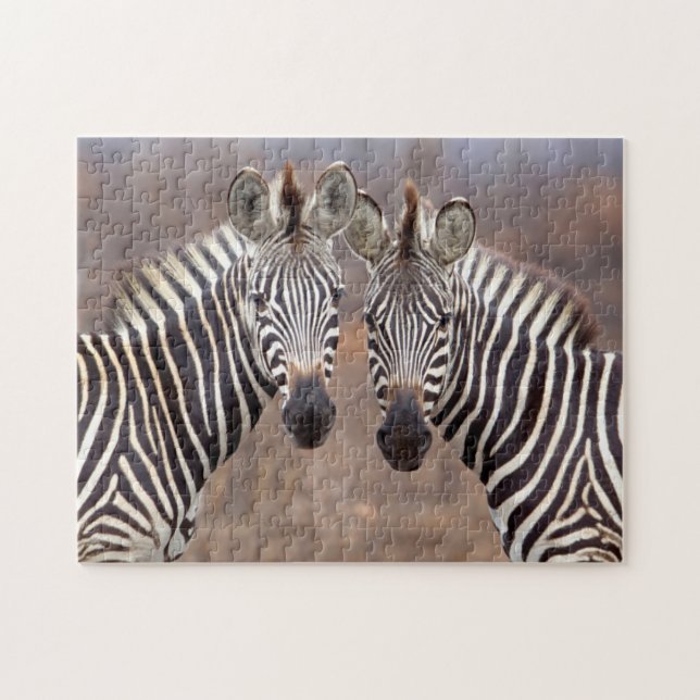 Plain Zebras, Kruger National Park Jigsaw Puzzle (Horizontal)