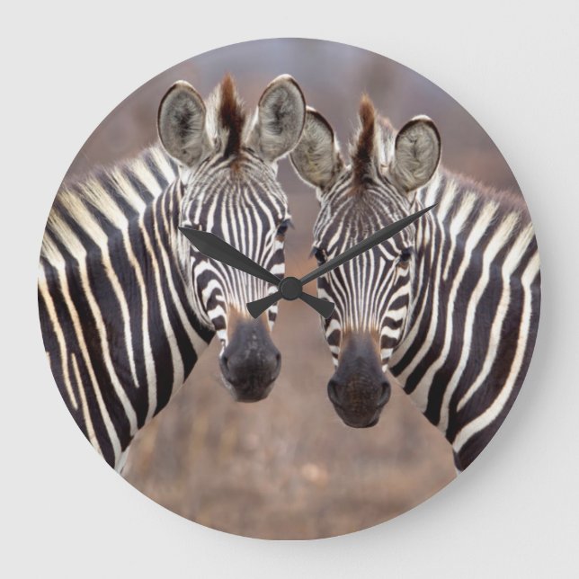 Plain Zebras, Kruger National Park Large Clock (Front)