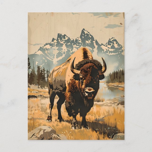 Plains Majesty: Vintage Bison Illustration Postcard (Front)