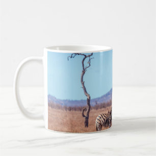 Plains zebra in Kruger National park, South Africa Coffee Mug