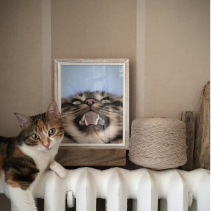 Plaintive Meow Of A Tabby Cat Acrylic Painting Poster