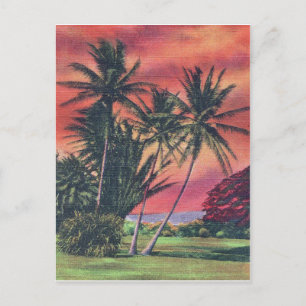 Plam trees on Hawaii island, vintage travel poster Postcard