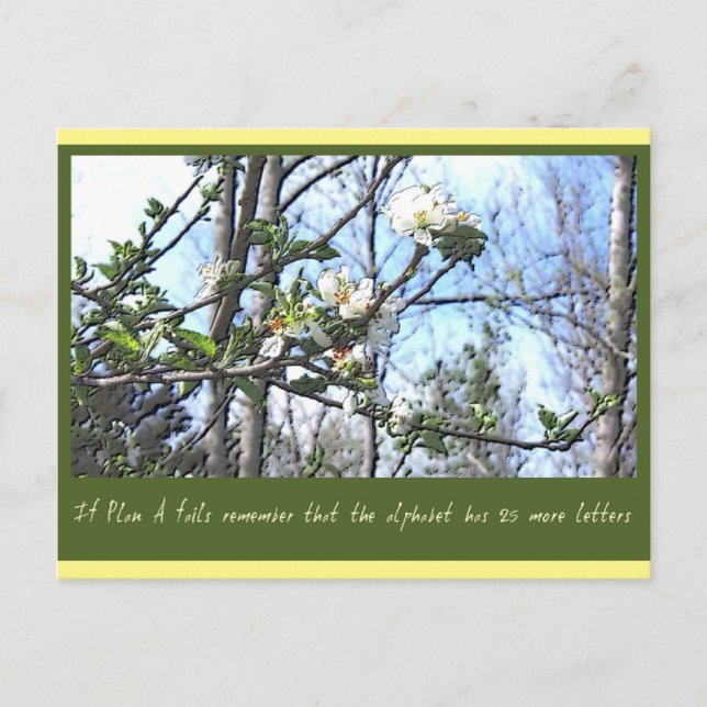 Plan A Postcard (Front)