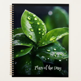 Plan of the Day Planner