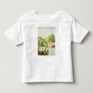 Plan of the Mines of Oaxaca, Mexico, 1785-87 Toddler T-Shirt