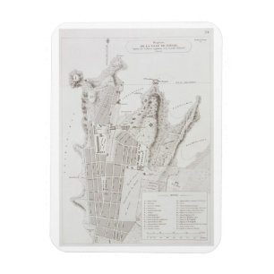 Plan of the Town of Sydney, from 'Voyage Autour du Magnet