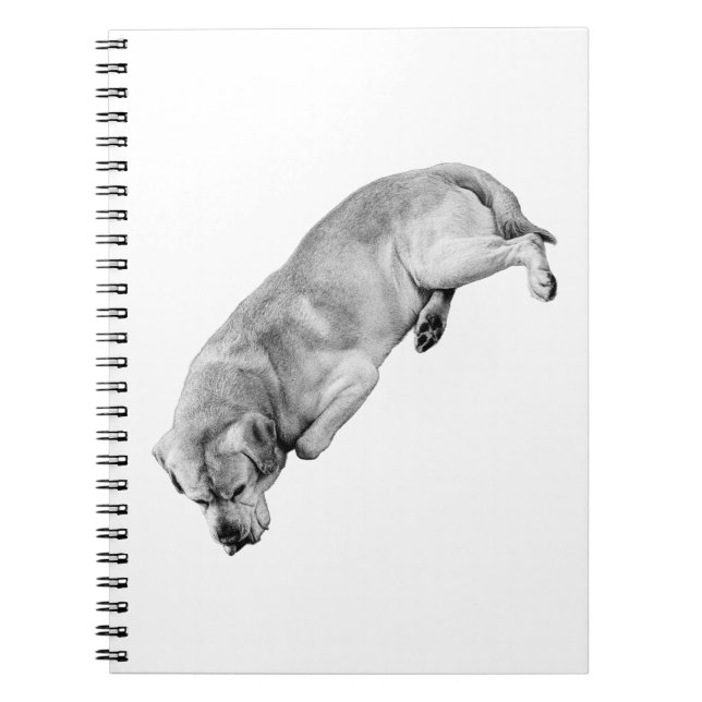 Plan the Day, Move Gently Notebook (Front)