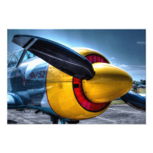 Plane 2 photo print