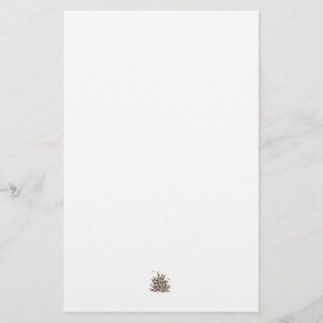 Plane Stationary Stationery (Front)