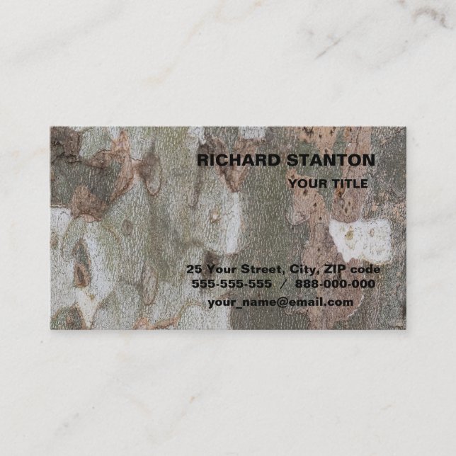 Plane tree camouflage looks bark pattern business  card (Front)