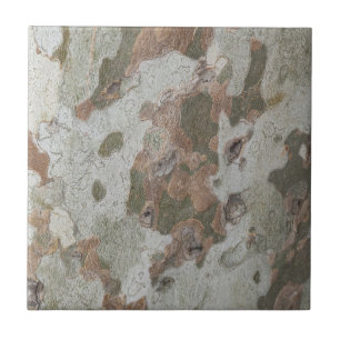 Plane tree camouflage looks bark pattern ceramic t tile