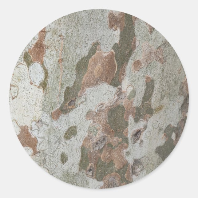Plane tree camouflage looks bark pattern classic r classic round sticker (Front)