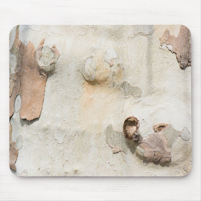 Plane tree camouflage looks bark pattern mouse pad (Front)