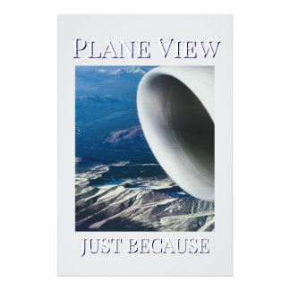 Plane View Photo Print