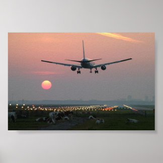 Planes and Cows Poster