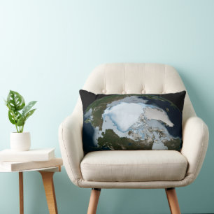 Planet Earth Showing Sea Ice Coverage In 1980. Lumbar Cushion
