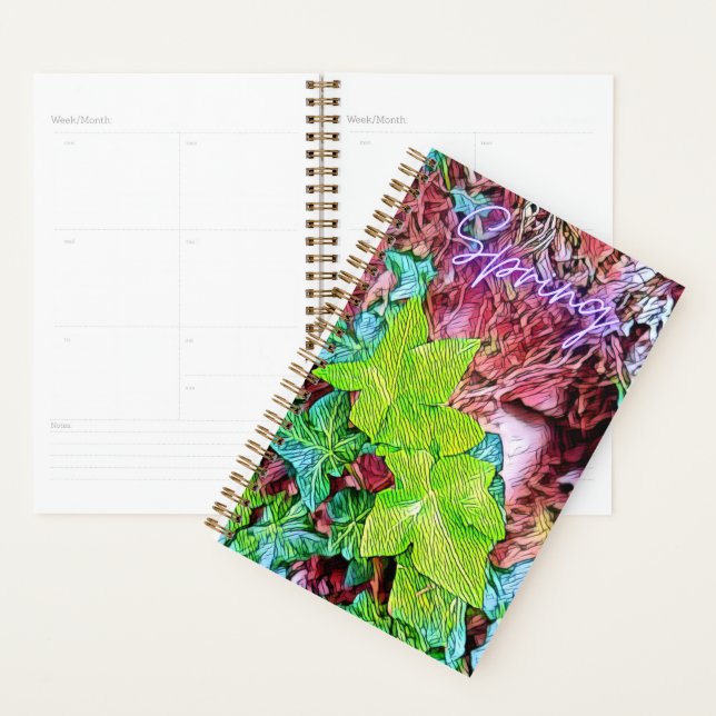 Planner (Display)