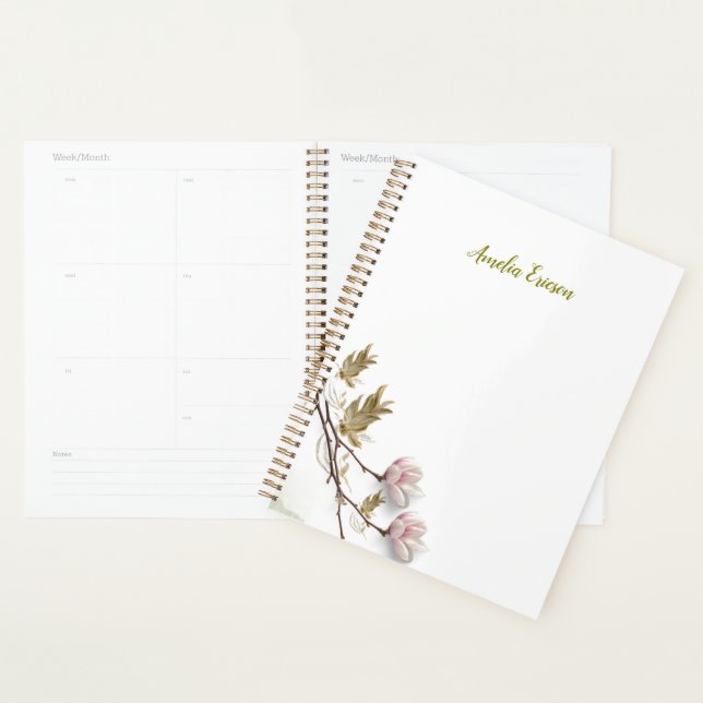 Planner  (Display)