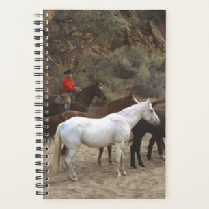 Planner Horse Photo Equine Cowboy Herd