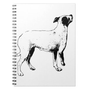 Plans, But Brighter Notebook