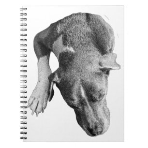 Plans in Quiet—Resting Pup Notebook