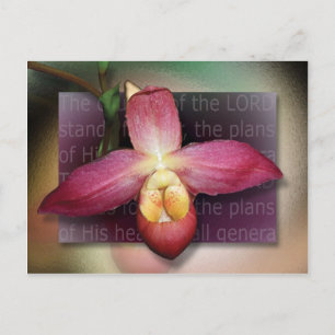 Plans of His Heart Postcard