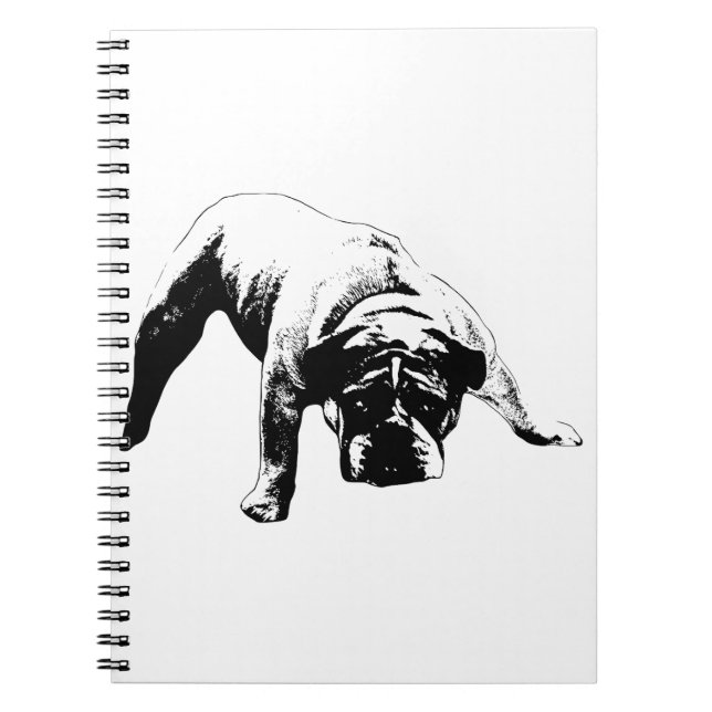 Plans With Backbone Notebook (Front)