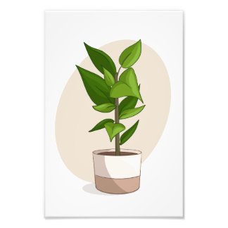 Plant 1 In Vector Poster Print From My Sims CC