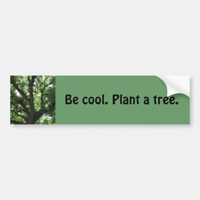 "Plant A Tree" Bumper Sticker (Front)