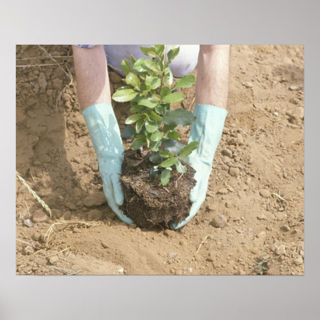 Plant a Tree on Earth Day Poster (Front)