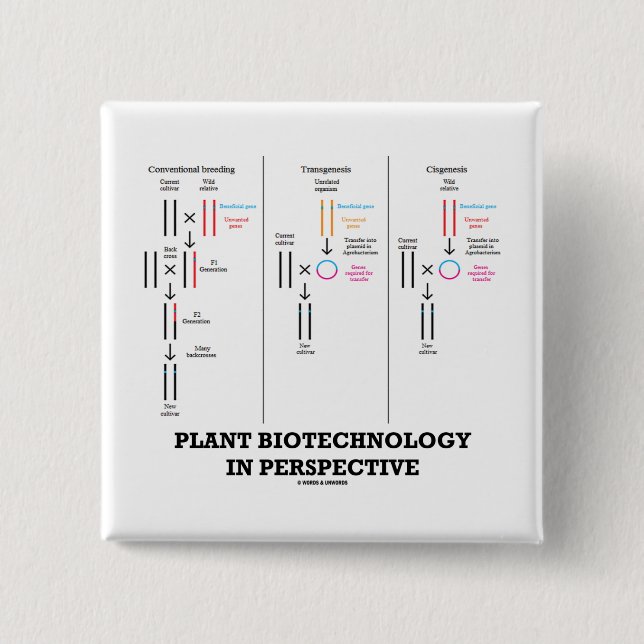 Plant Biotechnology In Perspective (Transgenesis) 15 Cm Square Badge (Front)