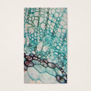 plant cells micrography