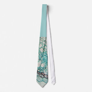 plant cells micrography tie