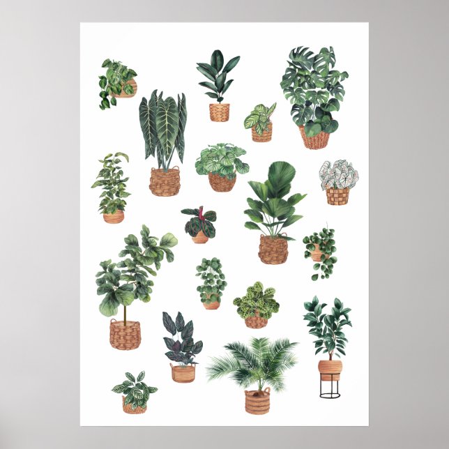 Plant collection 6 poster (Front)
