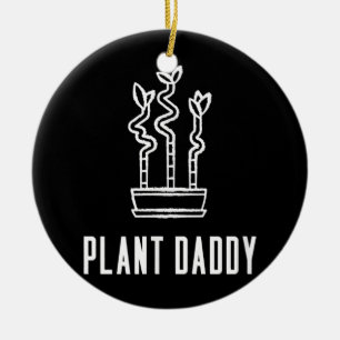 Plant Daddy Lucky Bamboo Houseplant  Ceramic Tree Decoration