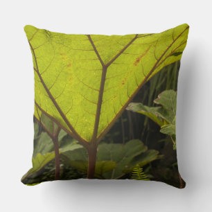 Plant detail at a botanical garden, Ecuador 2 Cushion