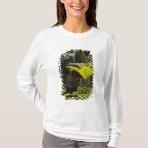 Plant detail at a botanical garden, Ecuador T-Shirt