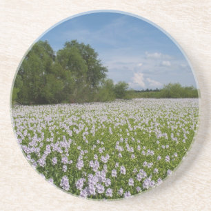 Plant/Flower Series---Flowers on Pond Coaster