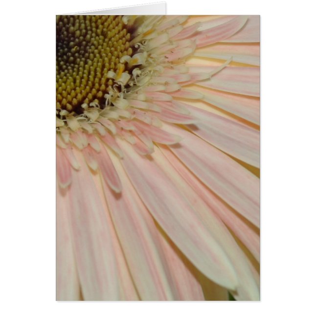 Plant for the Cure Flower (Front)