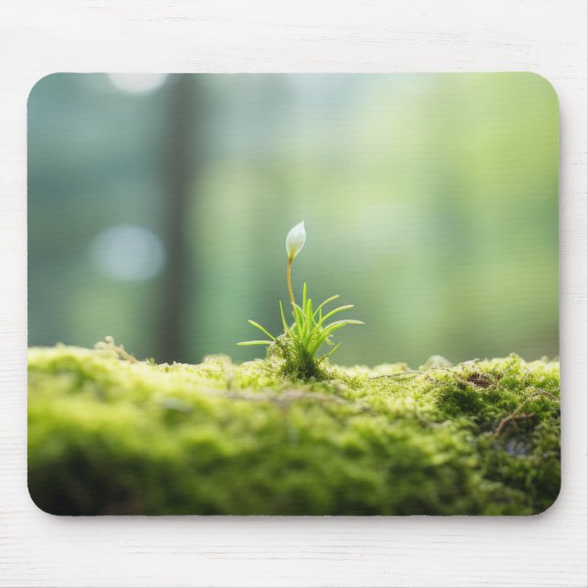 Plant Forest Nature Serene Tranquil  Mouse Pad (Front)
