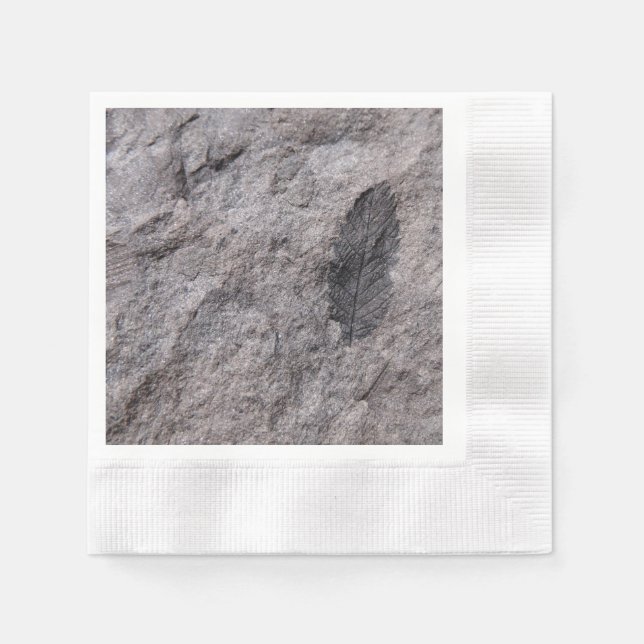 Plant Fossil 350 Million Yr. Old Printed Coctail Napkin (Front)