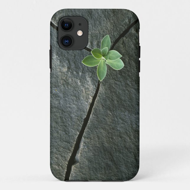 Plant Growing in Cracked Boulder Case-Mate iPhone Case (Back)