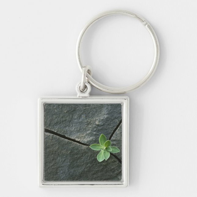Plant Growing in Cracked Boulder Key Ring (Front)