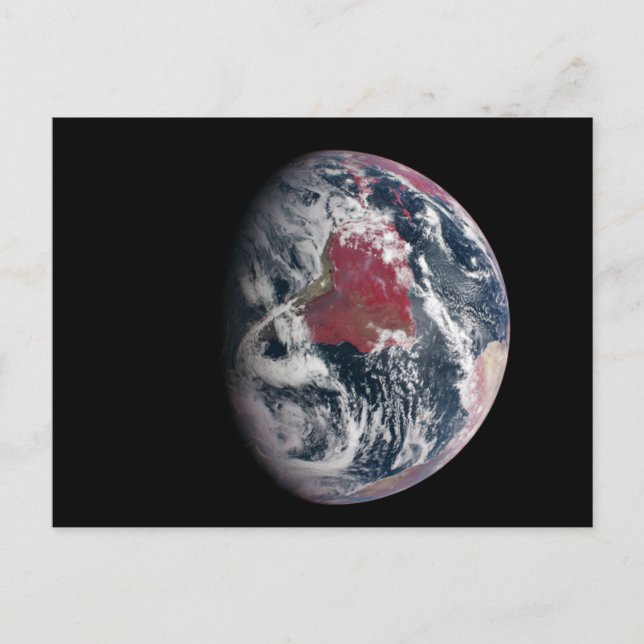 Plant Growth On Planet Earth. Postcard (Front)