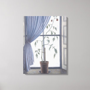 Plant in Window 2003 Canvas Print
