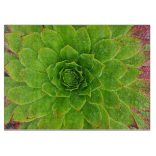 Plant Lover Aeonium Magic Cutting Board